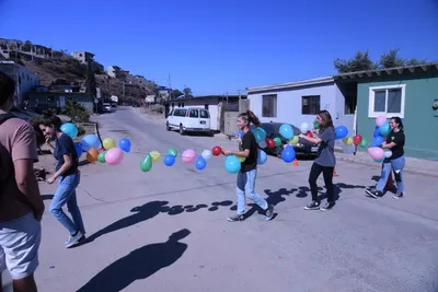 DSC_1890 (Large).JPG